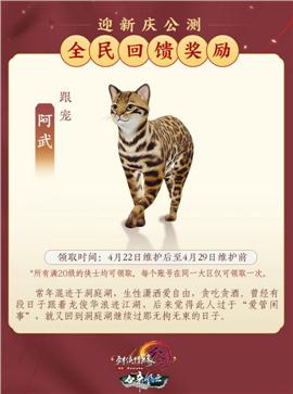天龙八部私服永恒经典